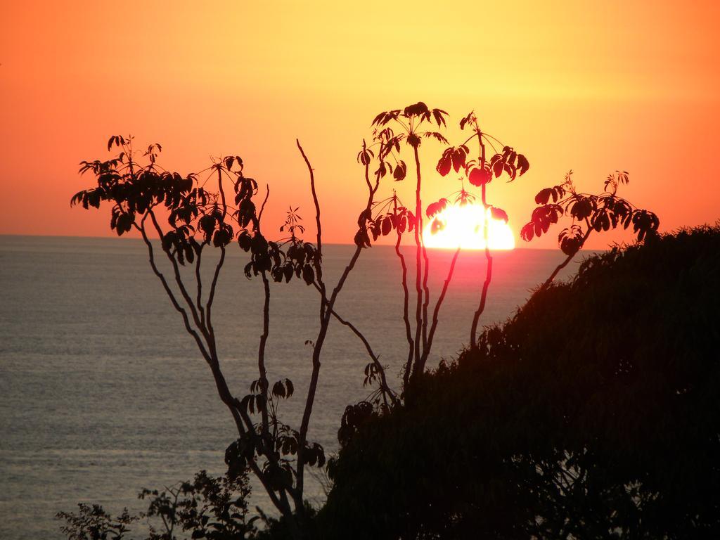Hotel Lookout Playa Tortuga โอเฆชาล ภายนอก รูปภาพ
