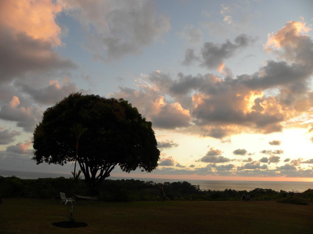 Hotel Lookout Playa Tortuga โอเฆชาล ภายนอก รูปภาพ