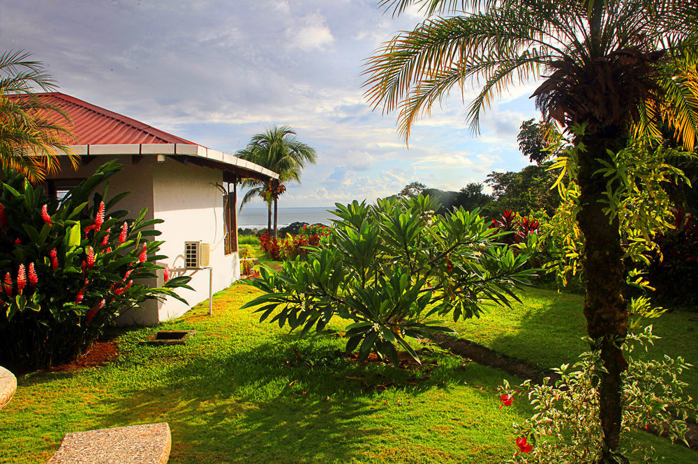 Hotel Lookout Playa Tortuga โอเฆชาล ภายนอก รูปภาพ